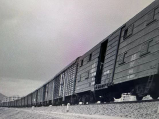 圖片7.png 圖片7.png