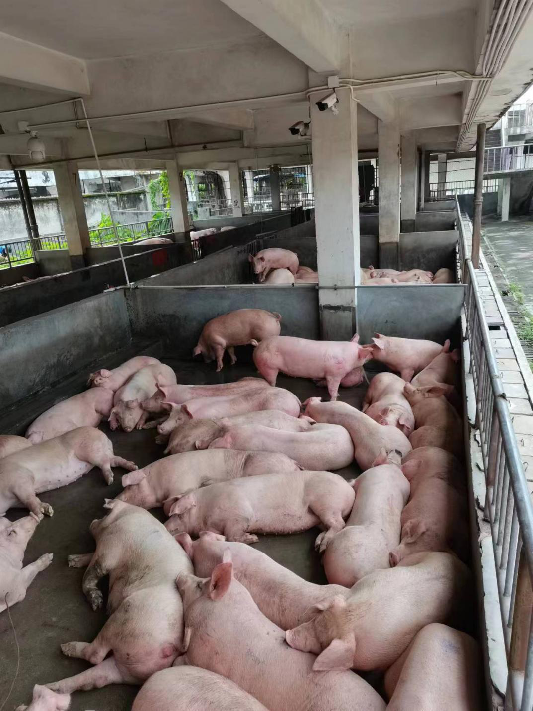 圖片9.png 圖片9.png